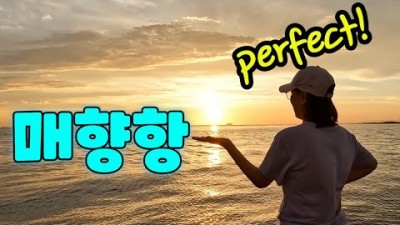 서울근교 서해안 화성시 인생최고의 노을맞집 매향리선착장 매향항 무료차박지 최근 현황