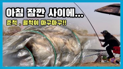 화성 남양호 붕어낚시 아침낚시 준척 월척급 붕어낚시 민물낚시 조과 및 채비정보