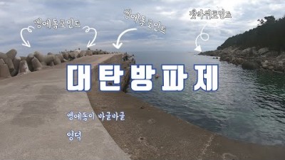 영덕 대탄방파제 도보권 벵에돔 찌낚시 조황 정보
