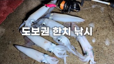 부산 한치낚시 영도 한국타이어 포인트 발판 편한 도보권 한치 루어낚시 포인트 추천