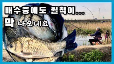 수도권 인천 검단수로 붕어낚시 민물낚시 대물 붕어낚시터 서울근교 붕어낚시 민물낚시 조황채비정보