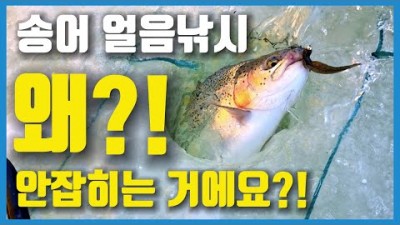 당신만 모르고 꾼들은 모두 알고있는 송어 얼음낚시 채비