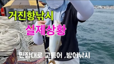 강원도 고성 거진항 고등어낚시 방어낚시 전갱이낚시 발판편한 도보권 민장대낚시 포인트 추천
