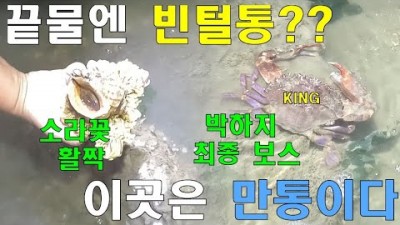 서울근교 영흥도 선재도 해루질포인트, 박하지, 소라 야간해루질 가볼만한곳 추천
