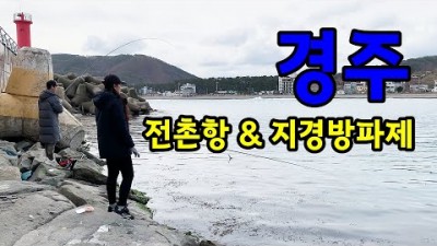 경주 민장대 바다낚시 전촌항바다낚시, 지경방파제 민장대낚시, 다양한 어종을 잡을 수 있는 손맛 포인트