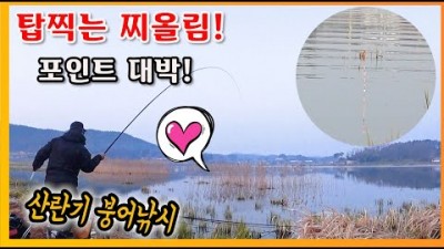 태안 저수지 붕어낚시 민물낚시 푸른수초밭 입질대박 붕어대박 포인트대박 산란기 붕어낚시 조황 및 채비정보