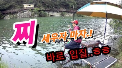 상주 무료 붕어낚시 민물낚시 경북 수로낚시 찌낚시 민물 마름밭 포인트 월척붕어 무료낚시터 추천