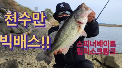 천수만 대물 배스낚시, 천수만 수로 빅배스 루어낚시 조황정보