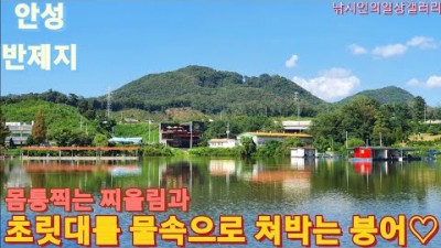 안성 반제낚시터 풍경 좋은 좌대낚시터, 붕어 낚시터, 좌대 이용료, 입어료 및 조황 정보