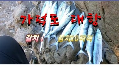 부산 가덕도 대항선착장 삼치낚시 도보권 풀치낚시 포인트 및 조황정보
