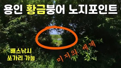 서울근교 용인 붕어낚시, 배스낚시, 쏘가리낚시 무료노지 민물낚시포인트 추천