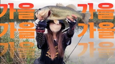 경기 화성 남양호 배스낚시 수도권에 때묻지 않은 배스낚시포인트