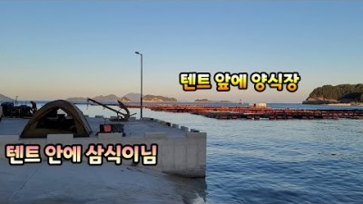 거제 통영 연화도 전갱이 낚시, 발판 편한 양식장 앞 전갱이 루어낚시 포인트