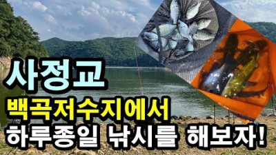 충북권 최고의 민물낚시 포인트 진천 백곡저수지 백곡천 낚시