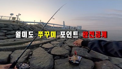 서울근교 인천 월미도 쭈꾸미낚시 포인트 추천