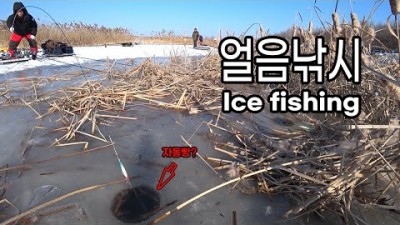김포 검단수로 얼음낚시 수도권 붕어 얼음낚시 검단수로 겨울 붕어낚시 민물낚시 조황 정보