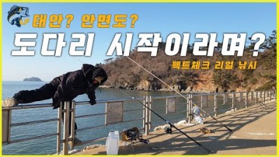 충남 태안, 안면도 도다리 원투낚시 도다리낚시 돌가자미낚시 바다낚시 조황 및 채비정보