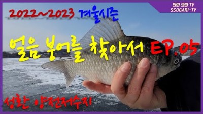 천안 아산 양전저수지 붕어낚시 얼음낚시 민물낚시 성환 양전지 붕어얼음낚시 조황 및 채비 정보