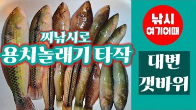 부산 기장권 갯바위 대변방파제 낚시조황 용치놀래기 돌돔 범돔 참돔 찌낚시 포인트 조황정보
