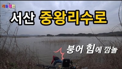 서산 붕어낚시 무료노지 낚시터 중왕리수로 붕어낚시 5짜붕어 민물낚시 한방터 대물붕어낚시 조과조황 채비정보