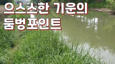 서울근교 붕어낚시 배스낚시 민물낚시 갈만한곳 무료 노지터 경기도 화성 수도권 붕어낚시 가볼만한곳