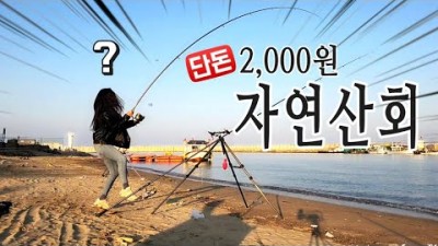 횟집 수족관보다 더 큰 횟감이 와르르~이보다 더 쉽고 편안한 낚시 포인트는 없다!화장실/주차장/편의시설 모두 모였다!원투낚시!초보낚시!차박!캠핑낚시!