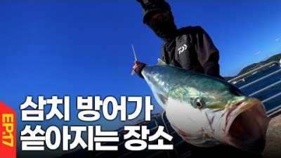 부산 오륙도 일자방파제 뜬방 대방어, 삼치 루어낚시, 대박 조황 정보