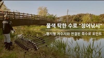 장어가 타고 오르는 길목/물색 탁한 쪽수로에서 장어낚시/저수지 본류권과 연결된 수로/수초가 잘발달된 장어낚시 포인트