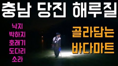 충남 당진 소라 낙지 호래기 박하지 야간 해루질 포인트 추천