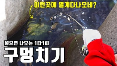 속초 대포항 구멍치기 낚시, 다양한 어종을 잡을수 있는 명당 포인트