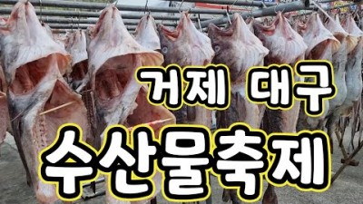 거제 대구수산물축제, 거제도맛집, 거제도여행 가볼만한곳 추천