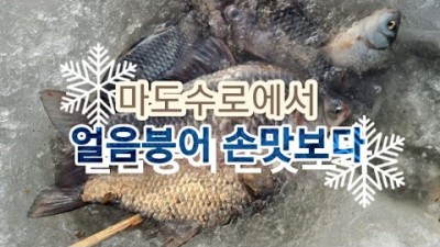 경기도 화성 마도수로 붕어 얼음낚시, 무료 노지 얼음낚시터, 겨울 민물낚시 붕어낚시 얼음낚시 조황 정보
