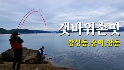 통영 도산면 갯바위 찌낚시, 감성돔, 참돔, 대숭어 낚시, 손맛 좋은 통영 포인트