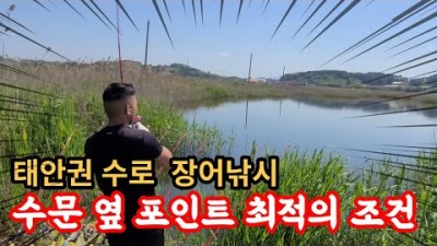 태안권 수문 옆 낚시 포인트 장어낚시 !! (포인트 이동만 세번의 노력)