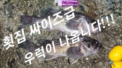 서산 태안 만리포해수욕장 우럭 지그헤드 루어낚시, 물때에 맞는 낚시 운영법 소개