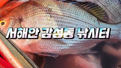 서해 격포항 방파제 감성돔낚시